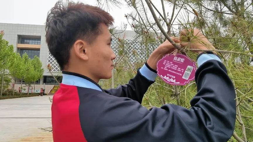 绿植1.jpg